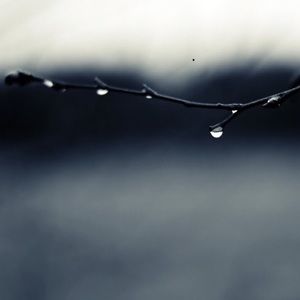 Meet your Posher, Chloe